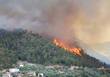 Son 24 saatte 91 farklı yerde orman yangını çıktı