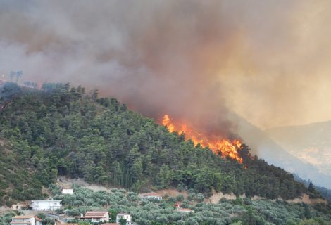 Son 24 saatte 91 farklı yerde orman yangını çıktı